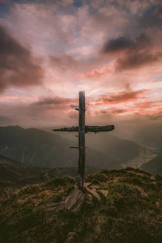 Beholding the Beauty of the Cross by Shana Burchard