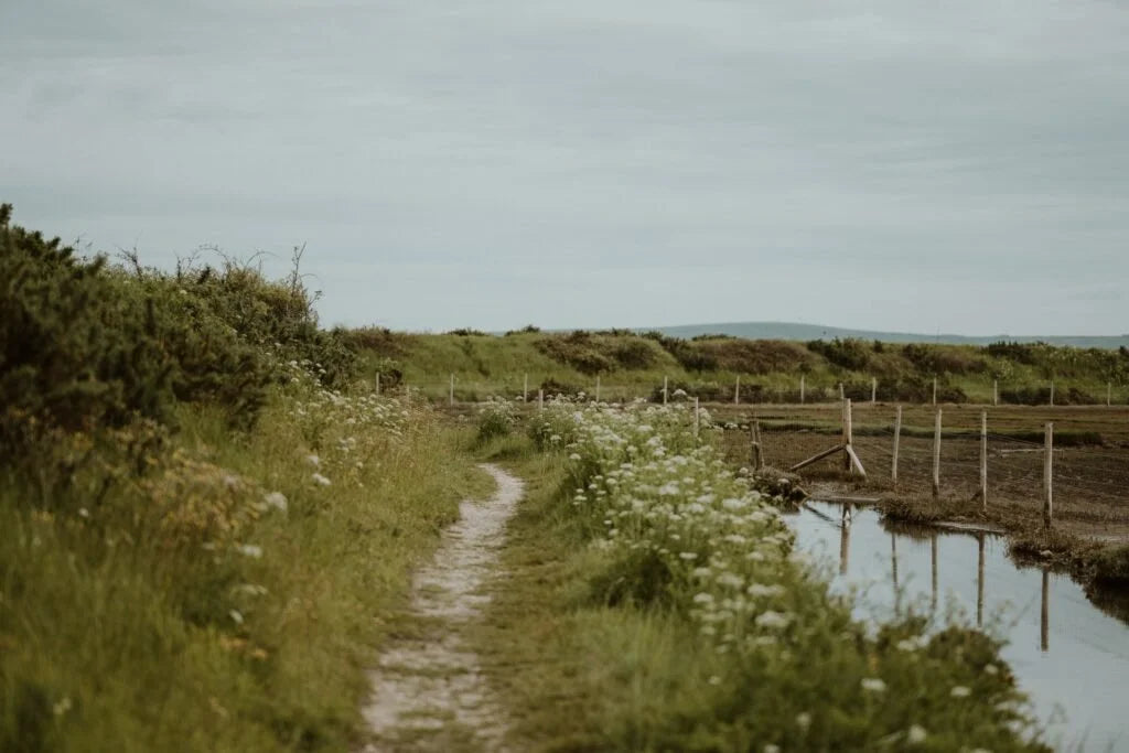 God Controls the Storms of Life by Rosann Coulon