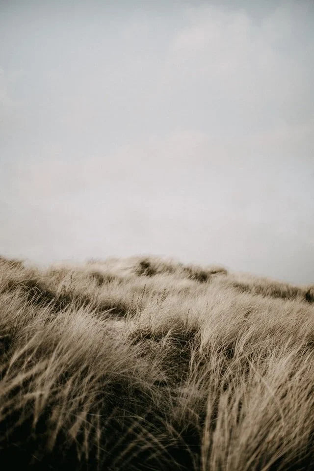 On Becoming a Living Sacrifice by Ayooluwa E. Adekoya Ìmísí