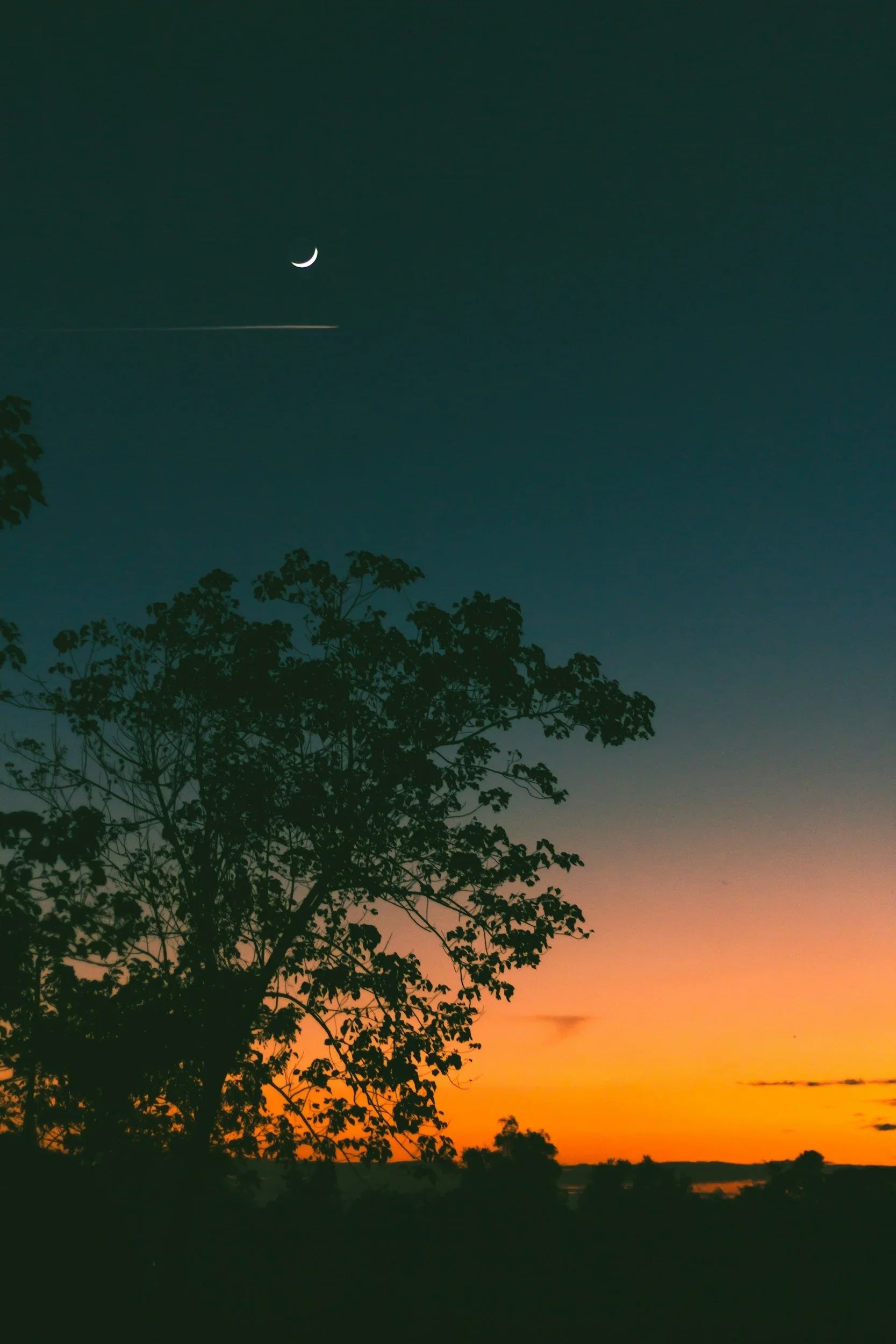 Dusk by Caroline Liberatore