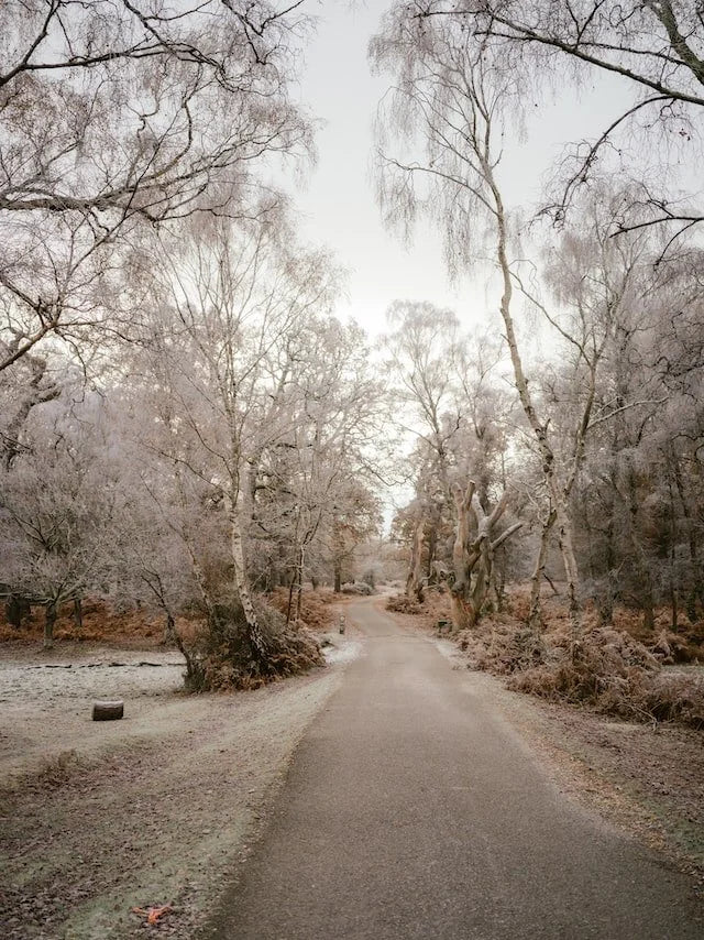 A Winter's Tale by John Grey
