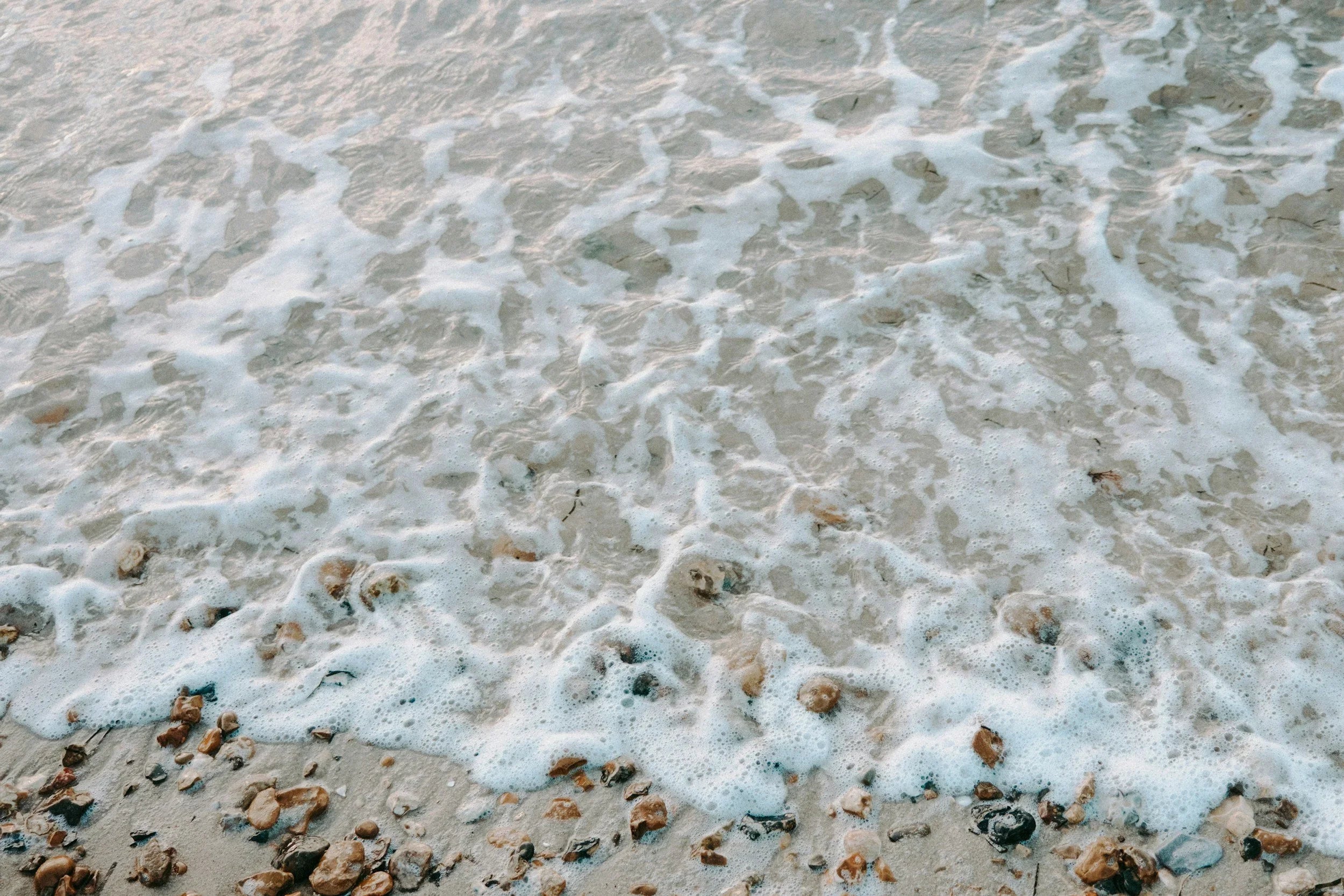 Dimming Tide by Mary McReynolds