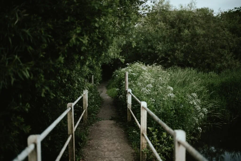 Jesus Is the Way Home by Sandy Brannan