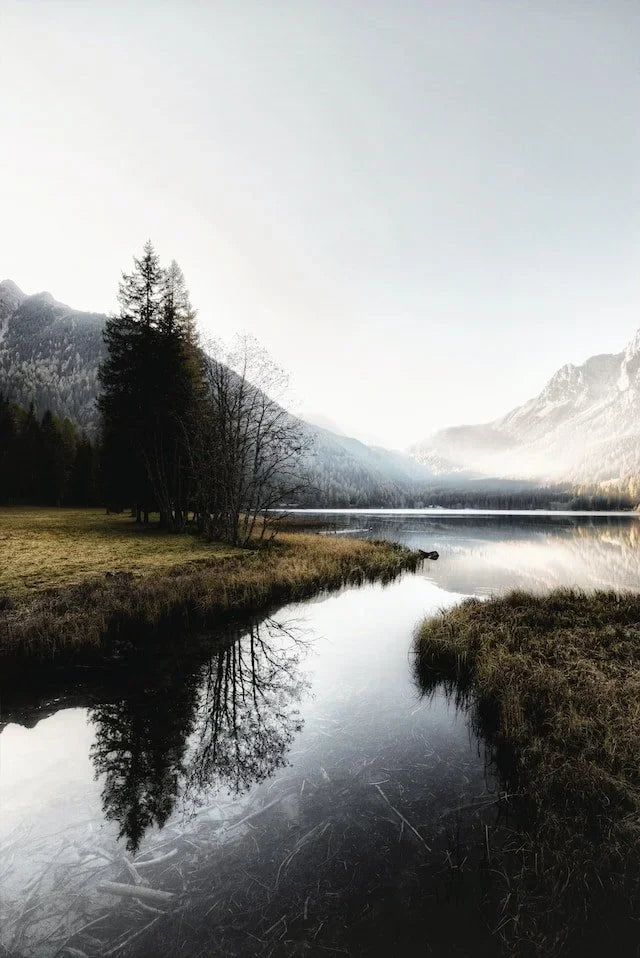 I Envy Agar Pond by Alexis Lorene