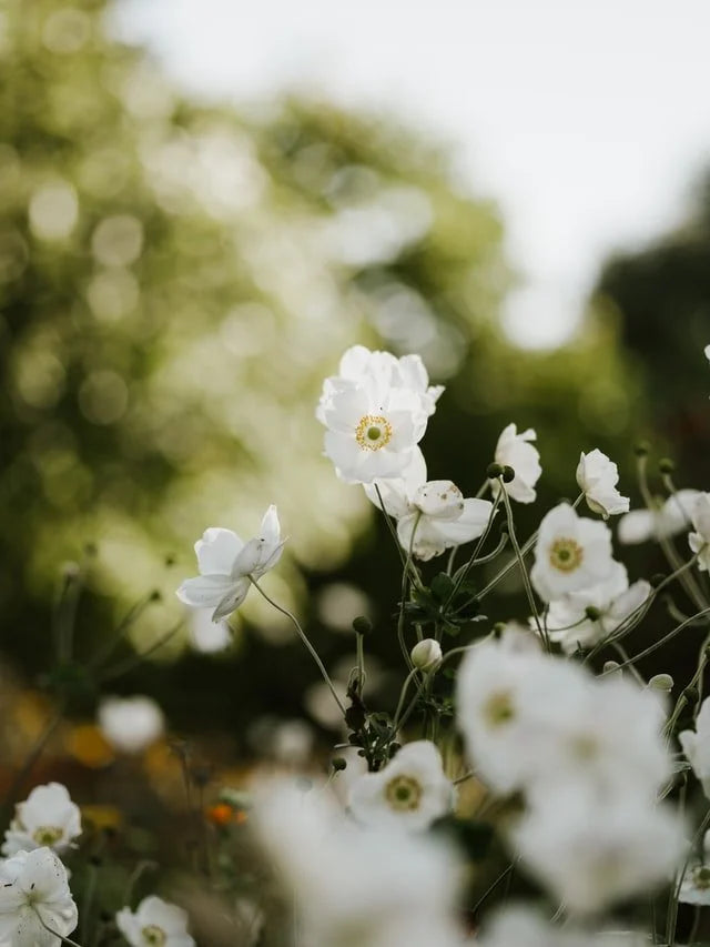 Bloom Church by Samantha Daley-Harewood