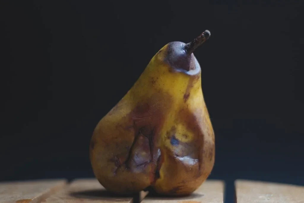 Fruit Unused by Emilia Hardwick