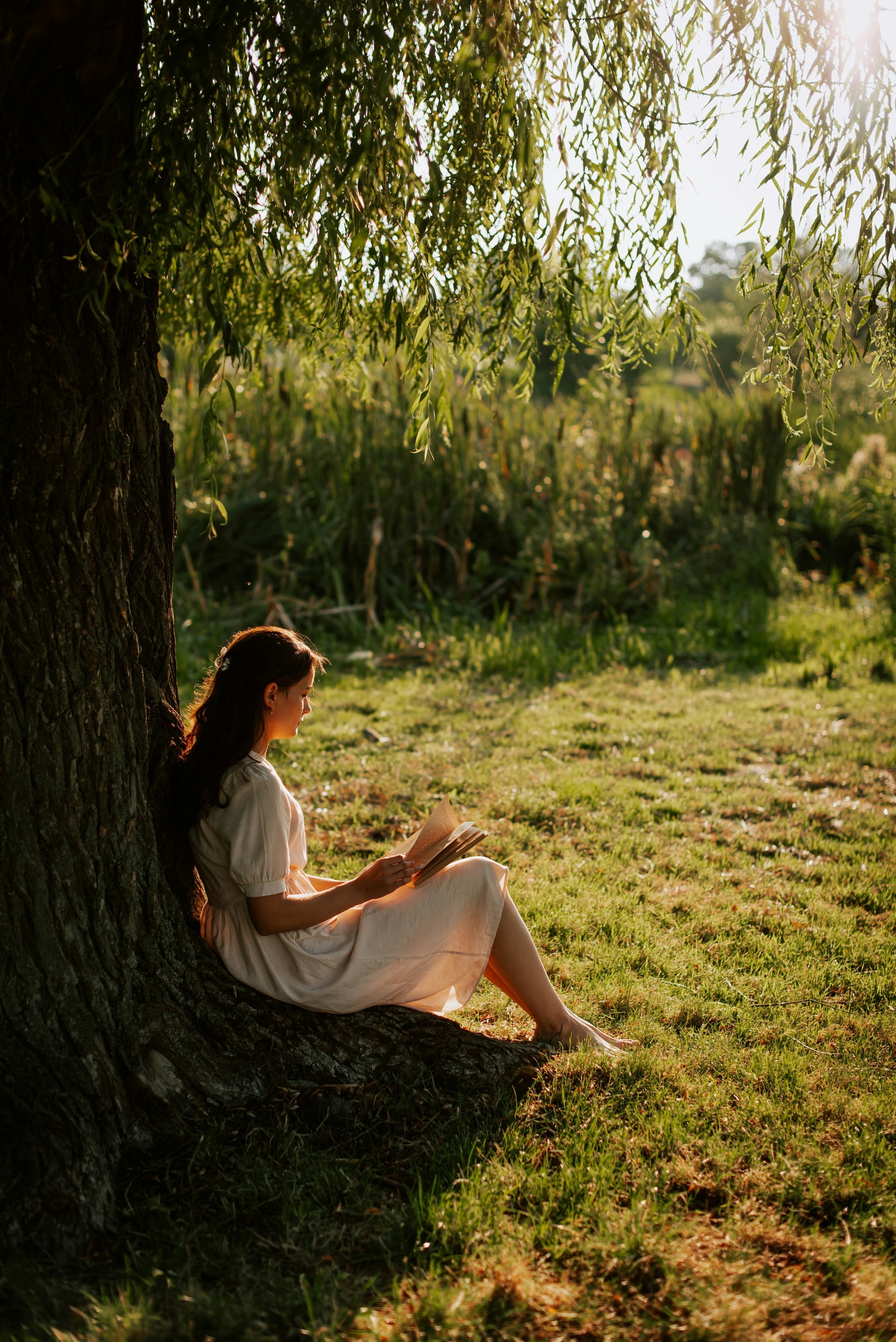 Willow (A Woman’s Prayer) by B. L. Eckhart