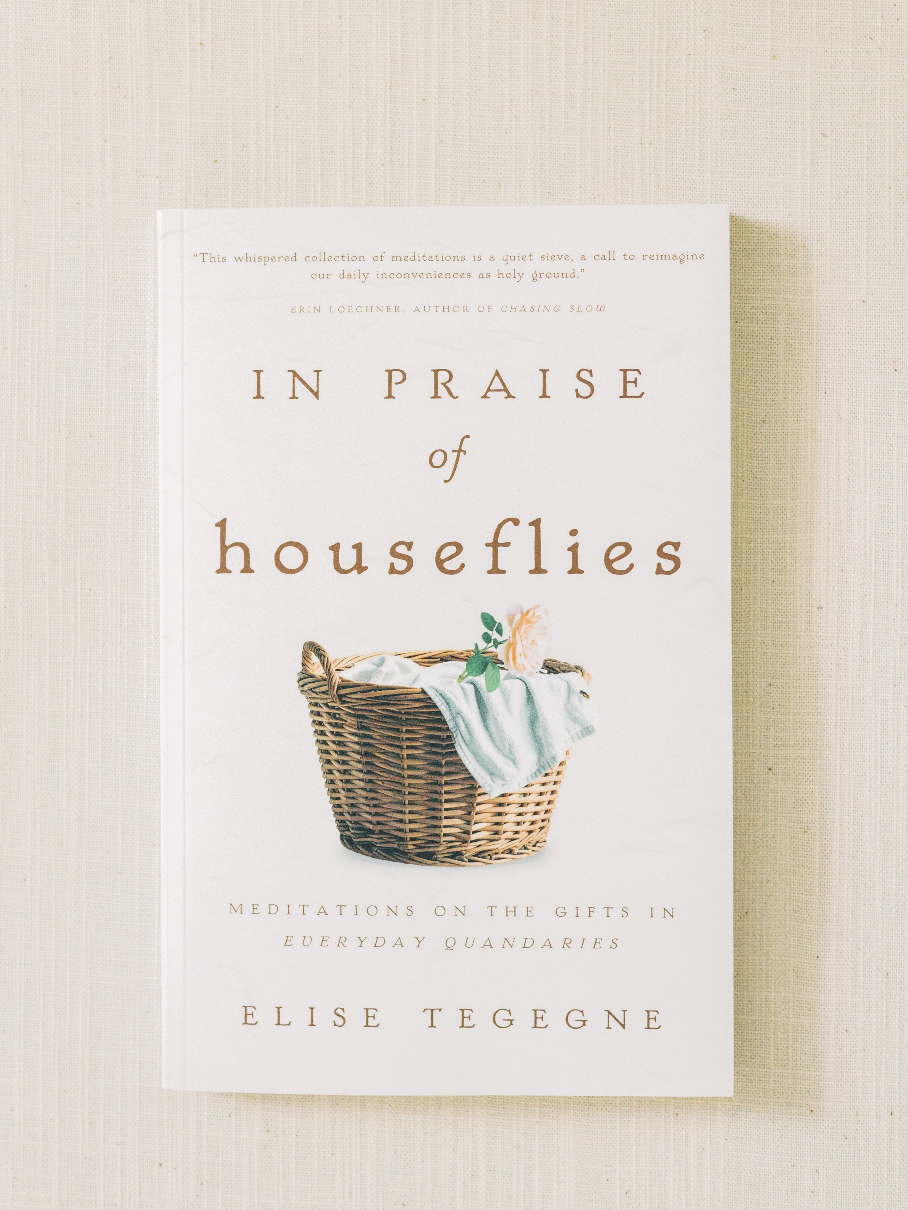 In Praise of Houseflies