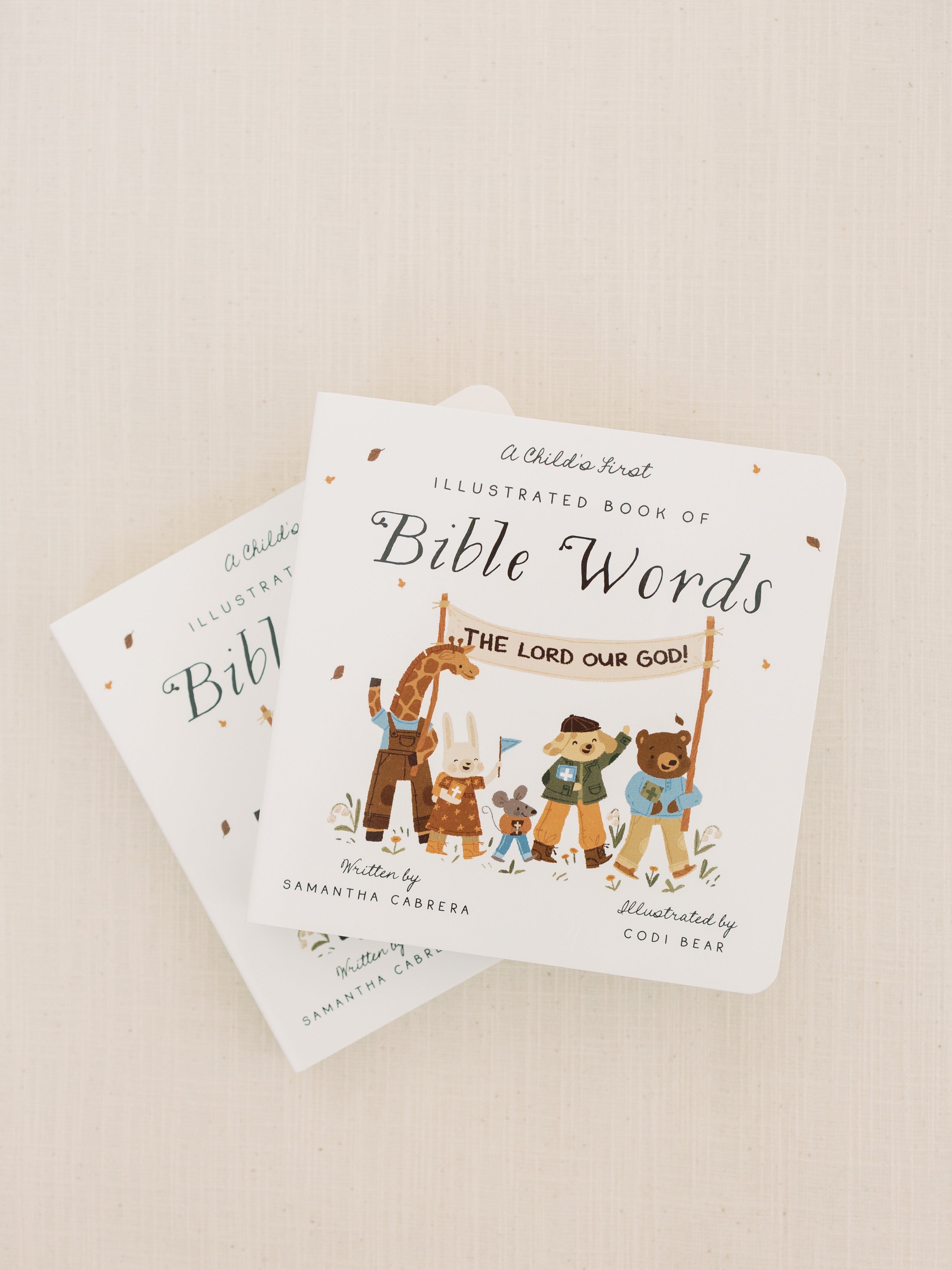 A Child's First Book of Bible Words (First Edition)