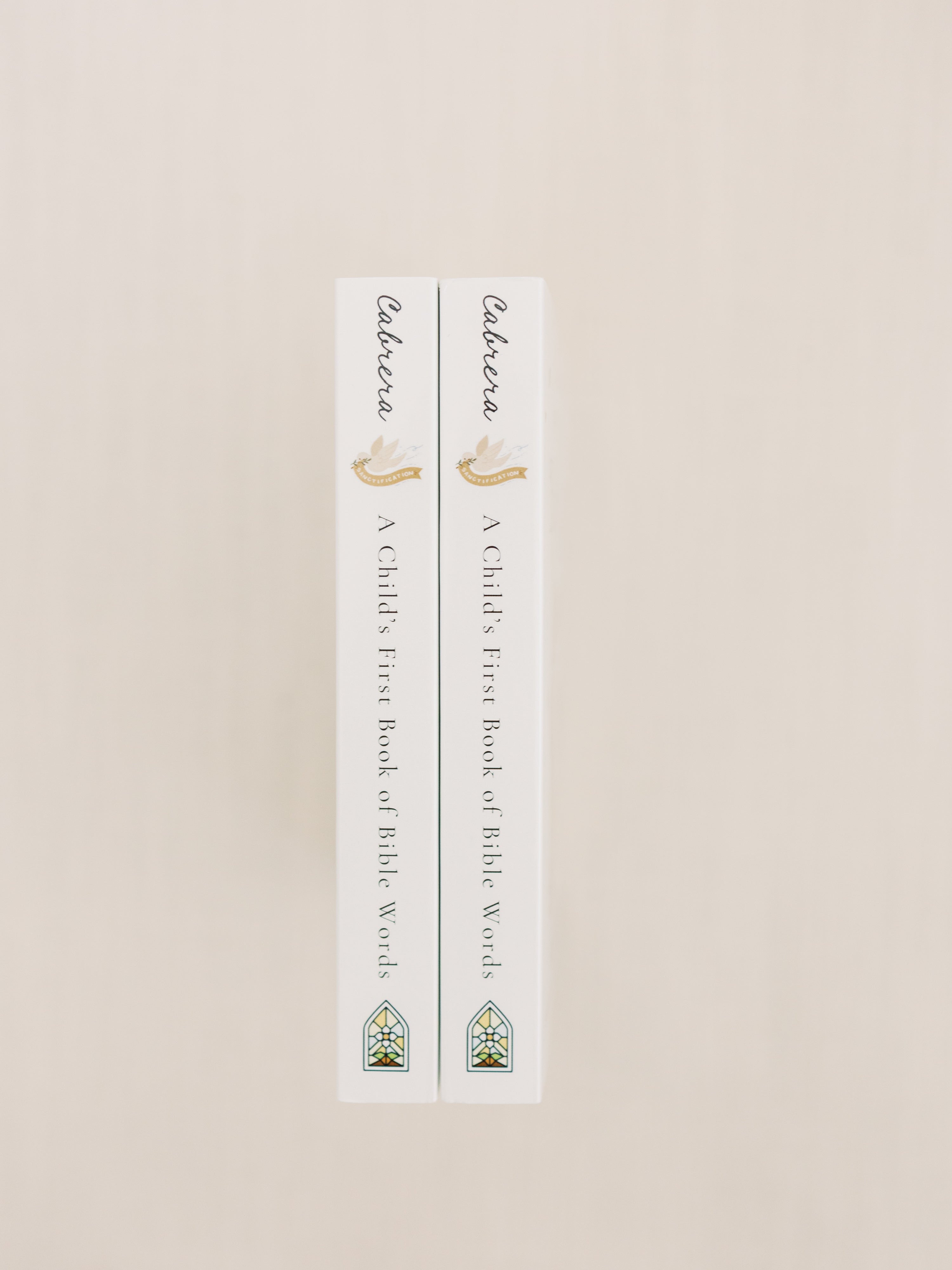 A Child's First Book of Bible Words (First Edition)