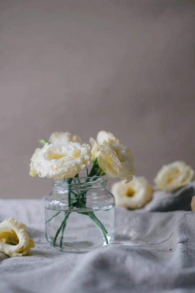 Mason Jar Summers by Sandy Brannan