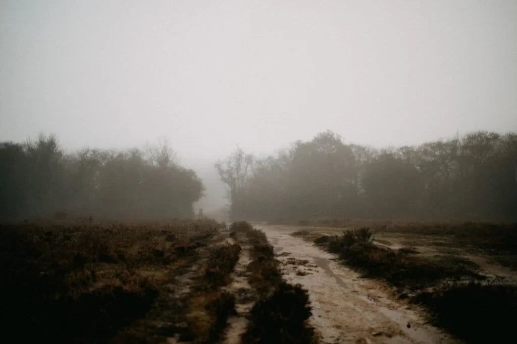 Loving Like Rain by McKenna Vietti