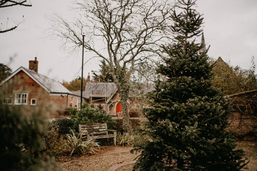 Lamenting at Christmas by Kyleigh Dunn