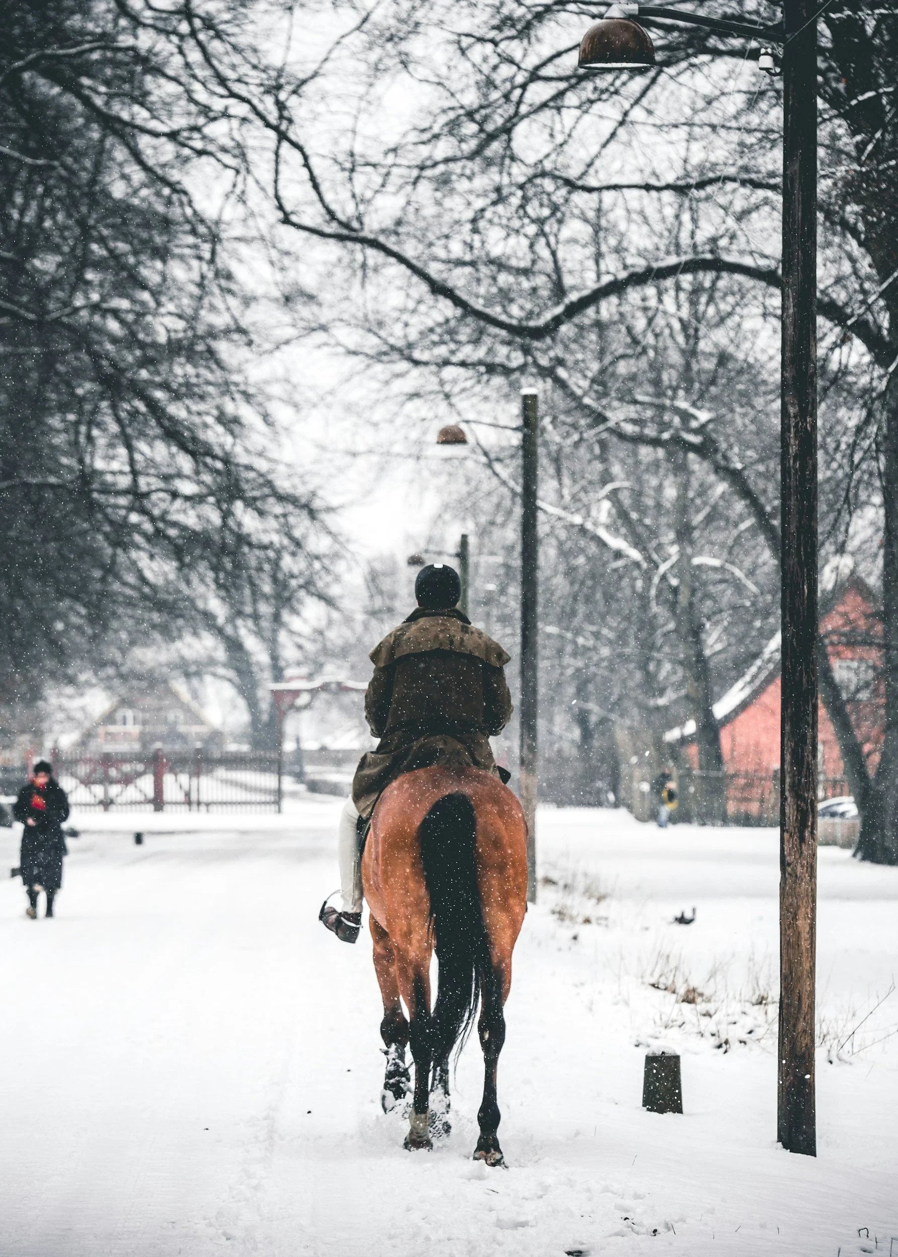 Saddle Prayers by Debra Fair