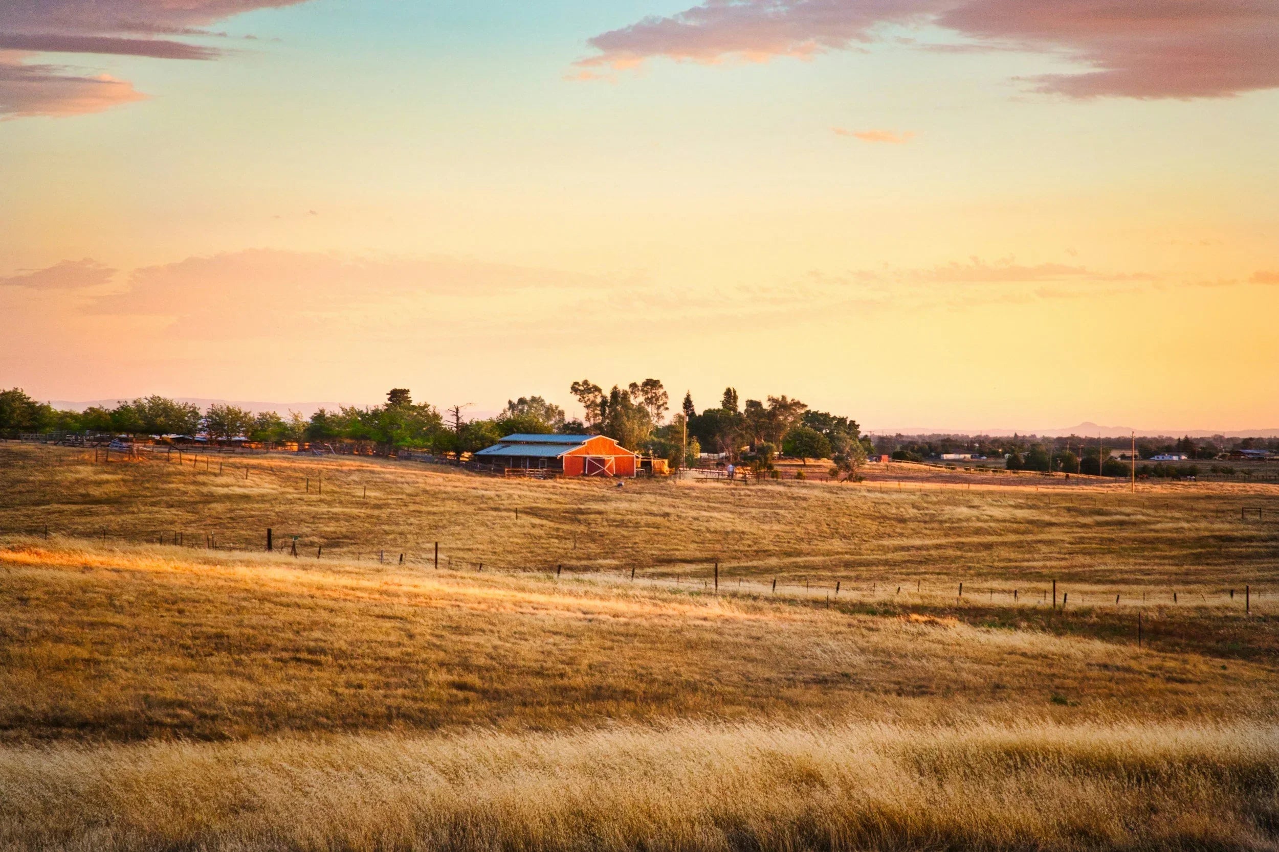Great Gramma’s Farm by Annie Nardone