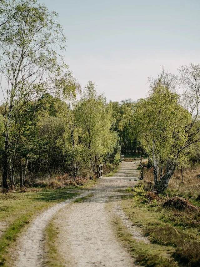 Along the Way by Cara Blondo