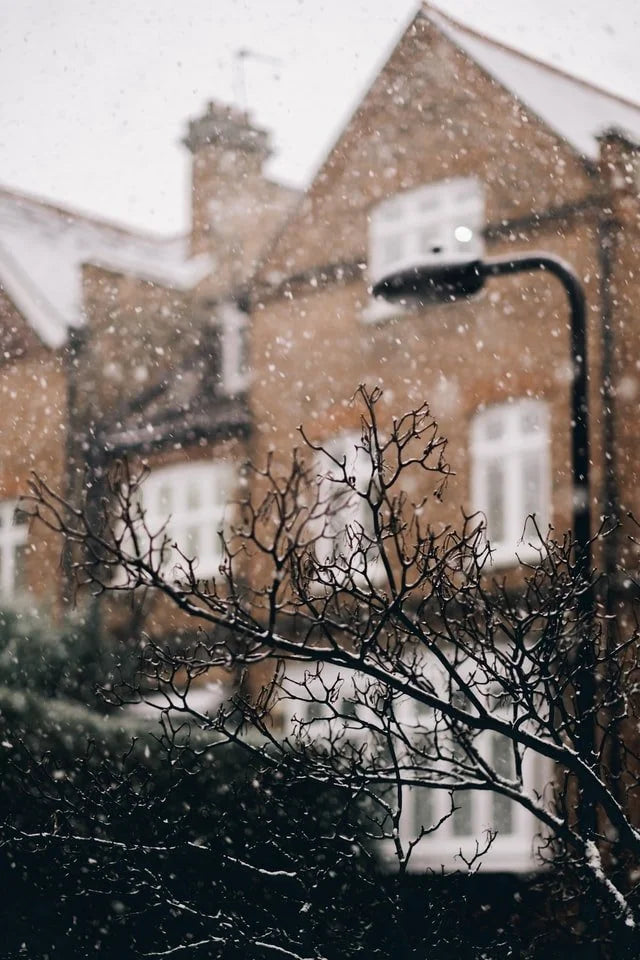 Ice Storm by Candace Echols