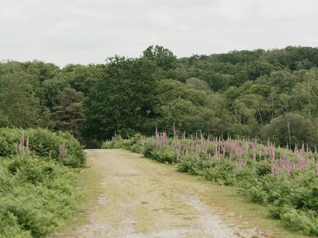 The North Country BY EMILY BARNETT