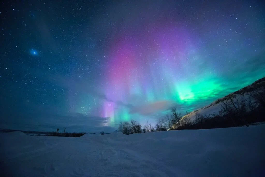 Northern Lights Lavishness by Allison Whiting