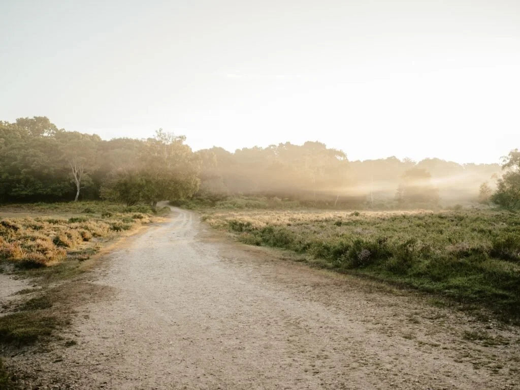 On Psalm 84 by Kimberly Phinney