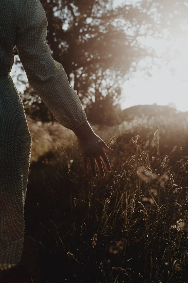 My Dreams are Not the End-All, Be-All by Kaitlyn Fiedler