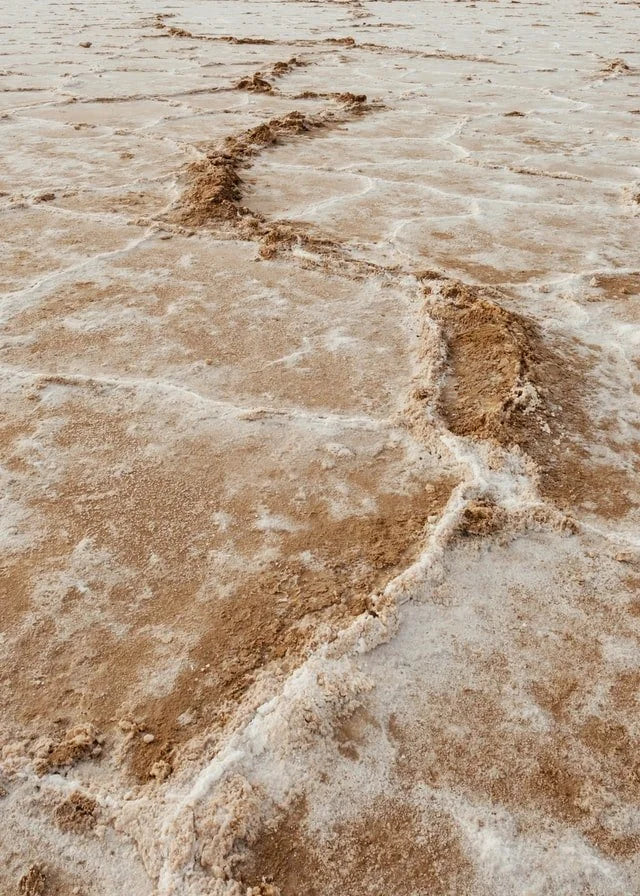 Salt of the Earth by Manndi DeBoef