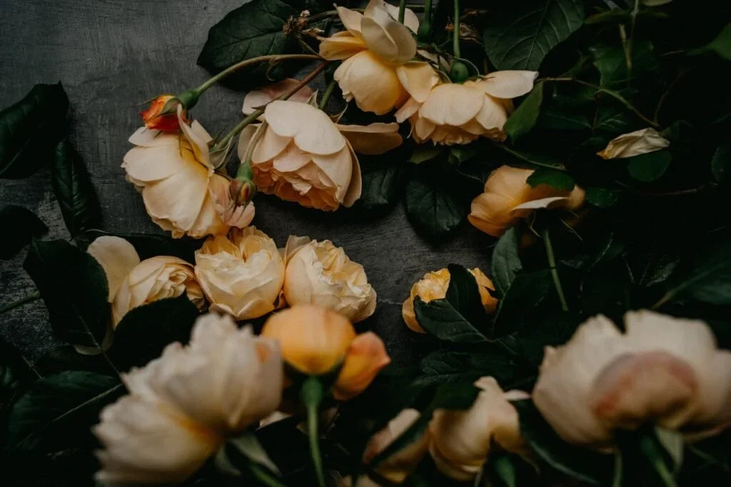 Death and Loss from a Christian Perspective by Victoria Crowley￼