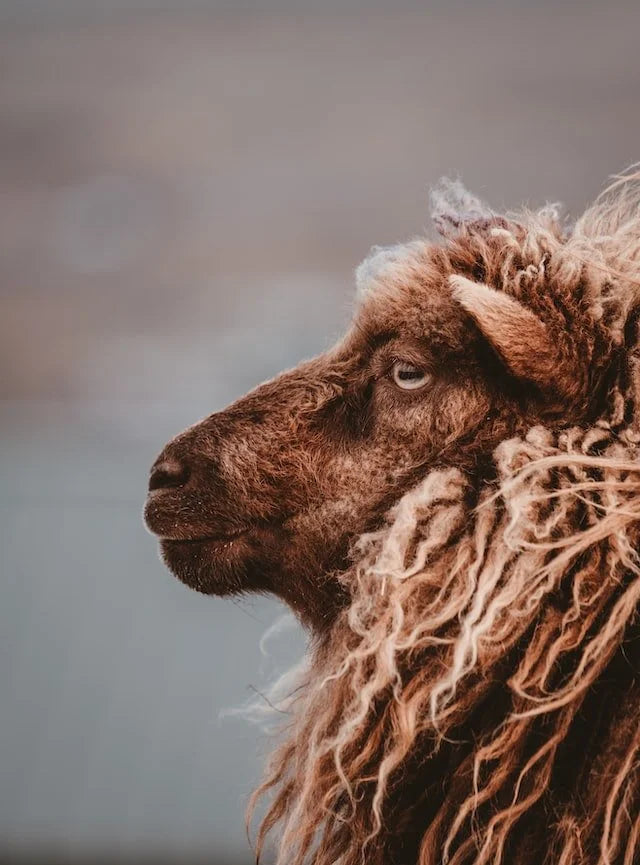 Scapegoat by Patrick Theron Erickson