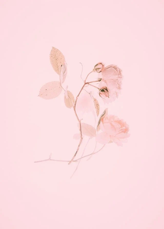an ode to pink by Emma Michael