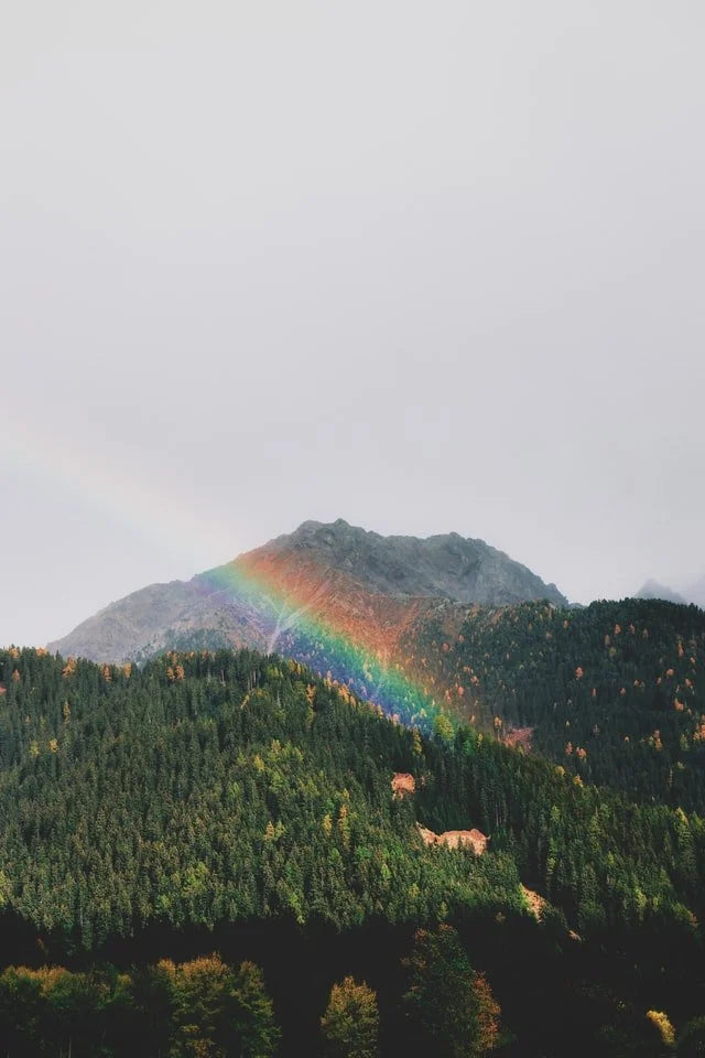 Nine Observations from Genesis 19 in Light of Pride Month by Nicholas Kallis