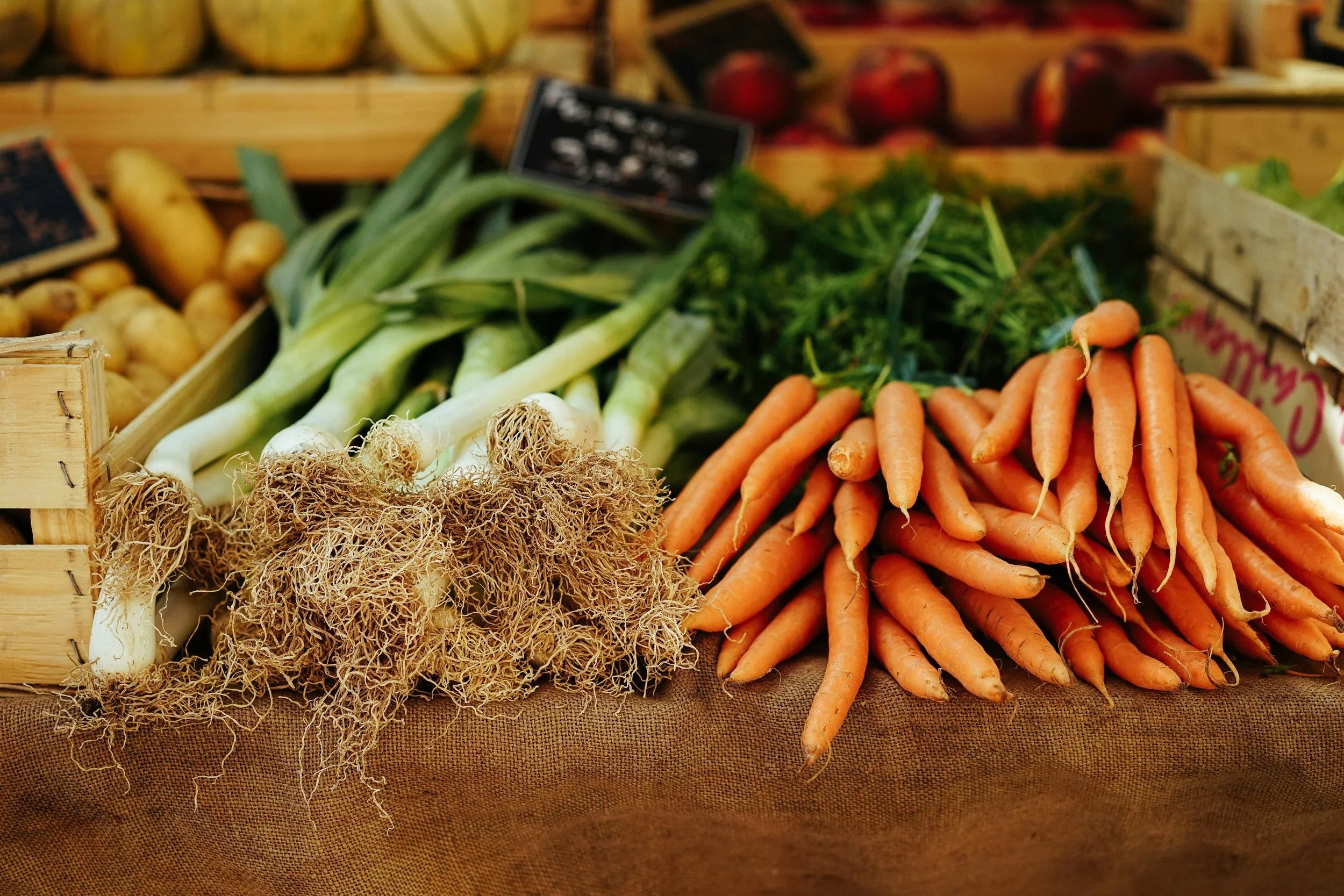 Meditation in a Grocery Store by Katie Boord