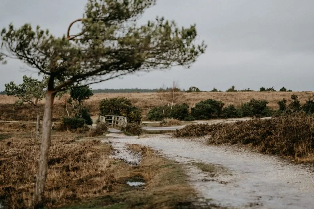 Jacob's Well by Stephen D. Edwards