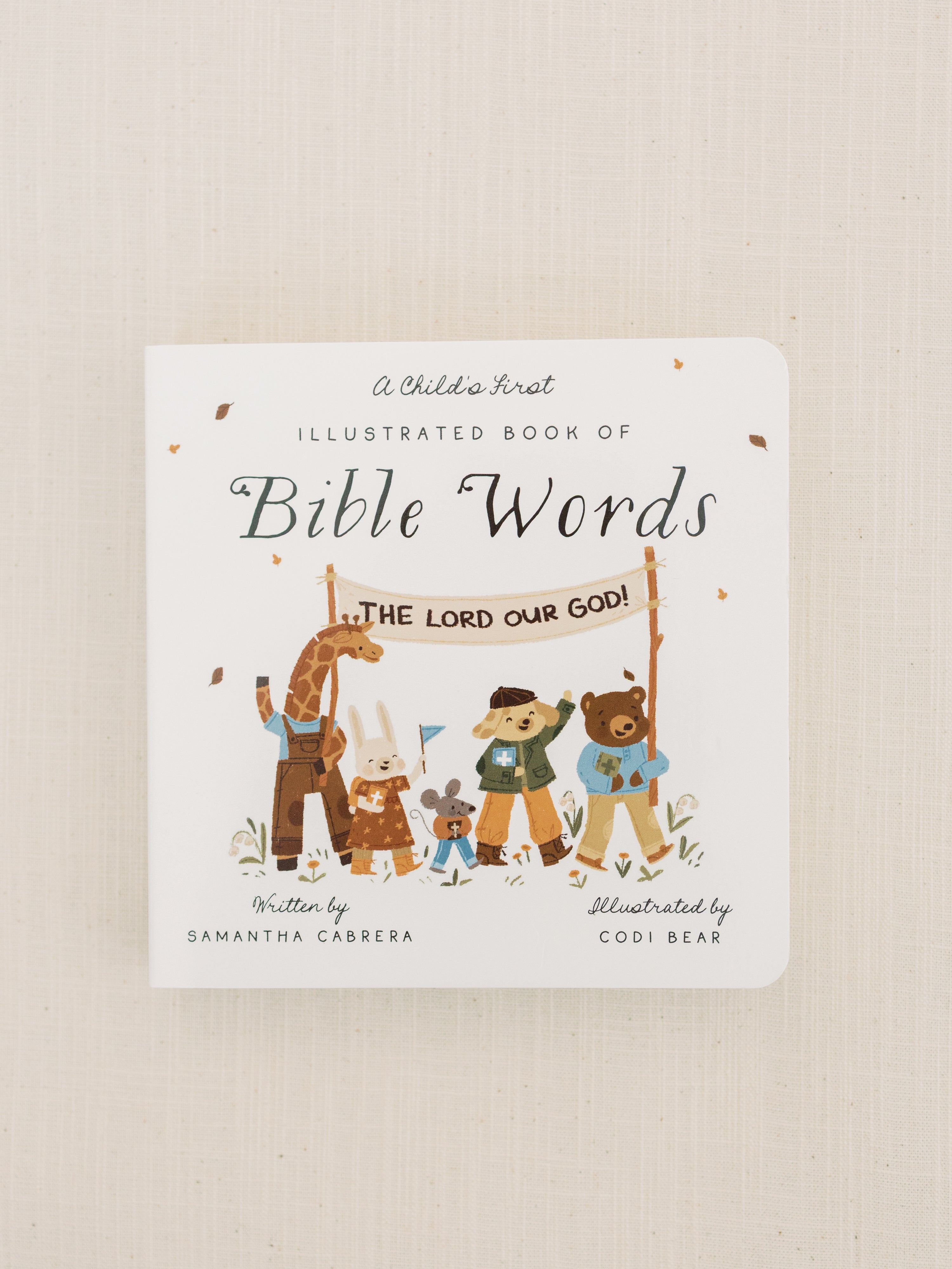 A Child's First Book of Bible Words (First Edition)