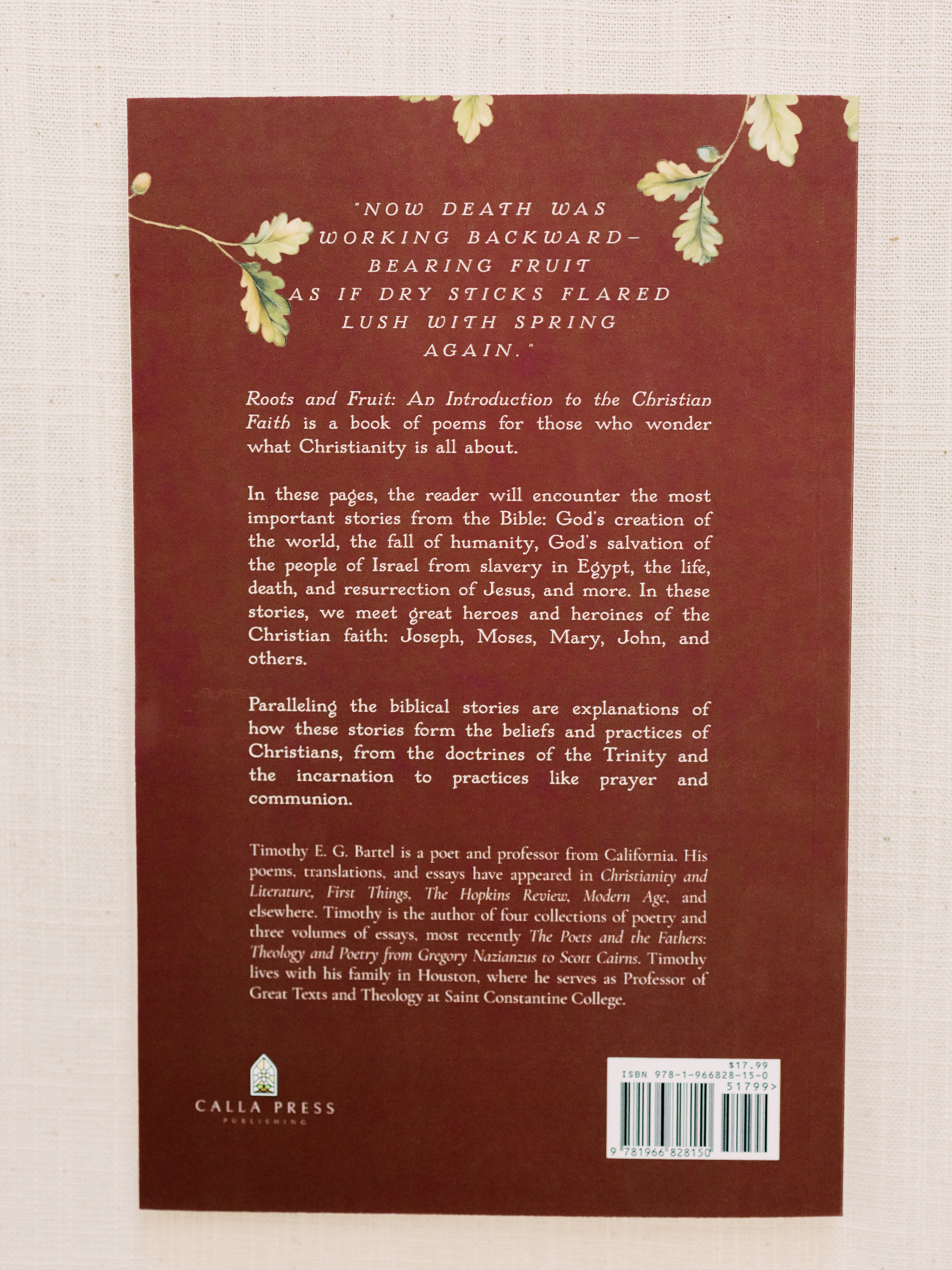 Roots and Fruit: An Introduction to the Christian Faith